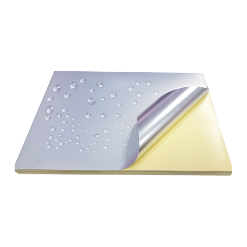 ฟิล์มสัตว์เลี้ยง Matt Silver ขนาด 50um พร้อมซับซิลิโคนสีเหลือง