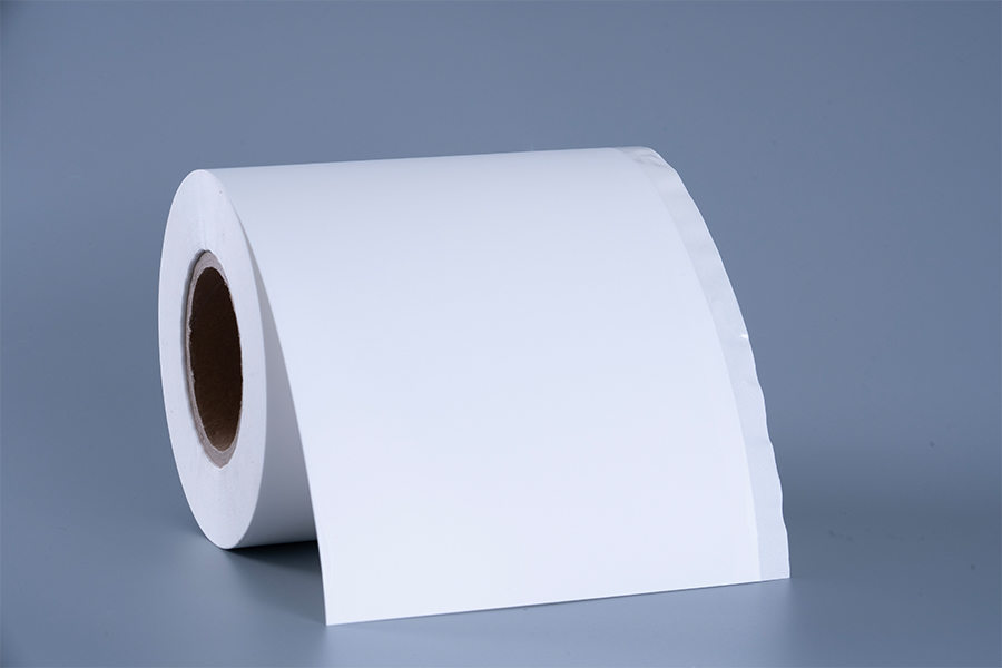 ฉลากอาหารแช่แข็ง